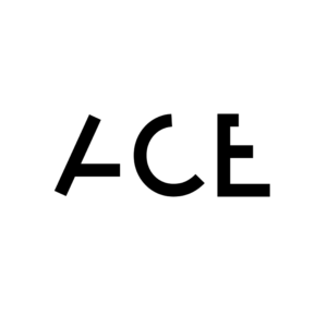 The ACE bag