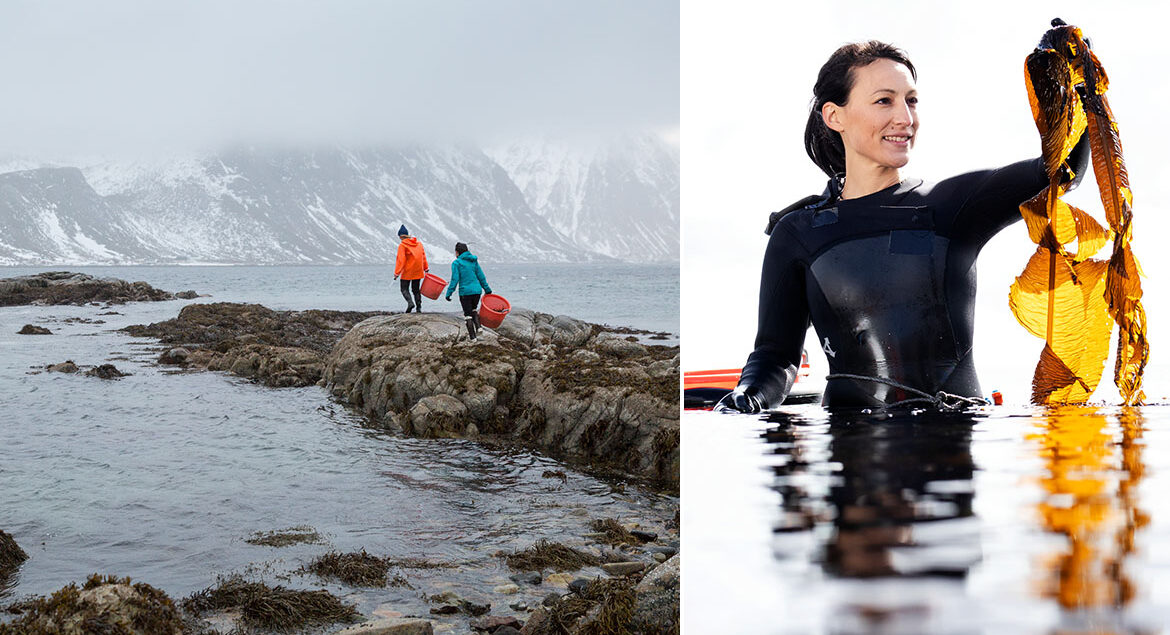 article-lofoten-header