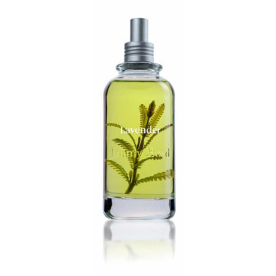 Lavender - Eau de Cologne