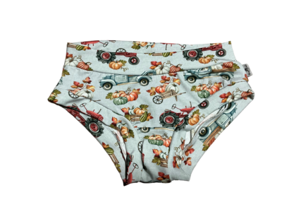 pumpkin trucks womens brief undies
