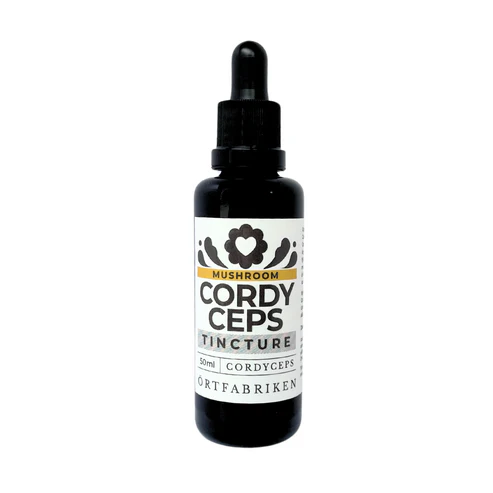 ÖRTFABRIKEN | Cordyceps Tinktur – 50ml