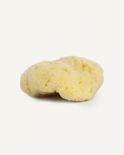 Natural Sea Sponge | NAJEL