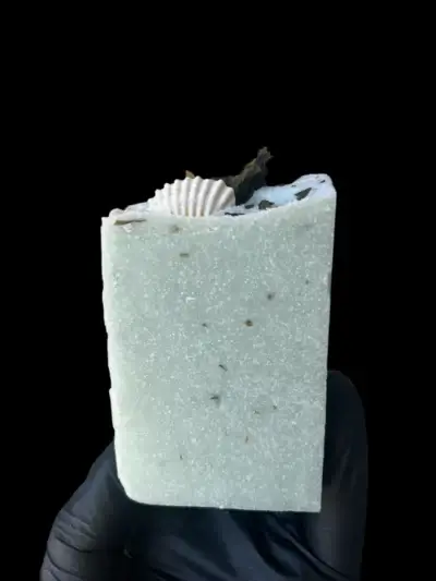 Salt hav