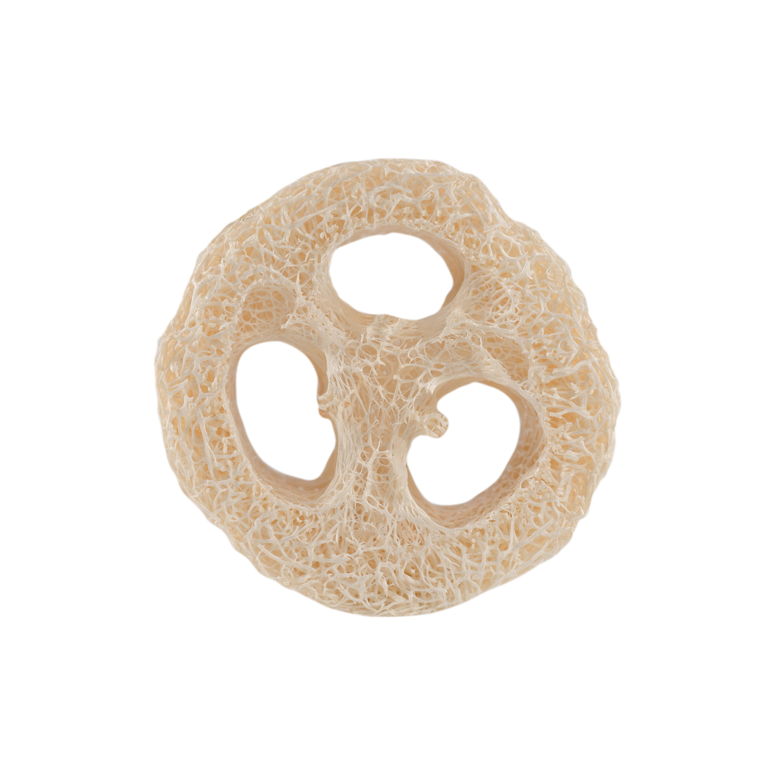 Compostable Loofah Soap Pad – Zero-Waste Essential – Artisan Quality