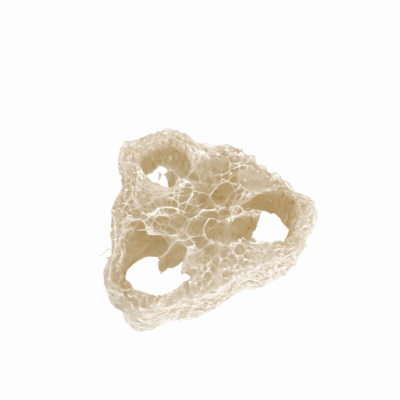 Luffa Natursvamp