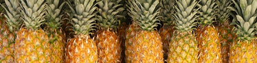 En bild på en massa ananas