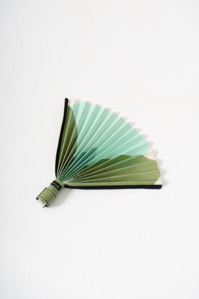 Hand Folding Fan - Broccoli